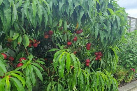 Photo of property in 21 Shelton Place, Feilding, 4702