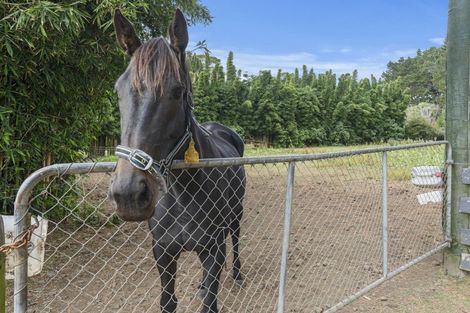 Photo of property in 15 Townsend Road, Paraite, New Plymouth, 4373