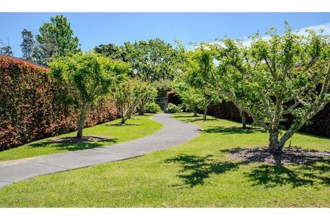 Photo of property in 23 Sarawak Drive, Kerikeri, 0230