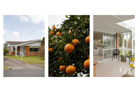 Photo of property in 77 Te Hono Street, Maungatapu, Tauranga, 3112