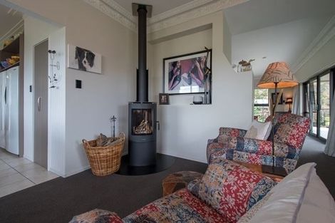 Photo of property in 244 Ripponvale Road, Cromwell, 9384