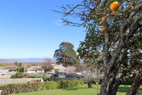 Photo of property in 307 Mount Sea Road, Thames, 3500