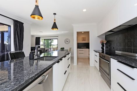 Photo of property in 46 Pinotage Drive, Greenmeadows, Napier, 4112