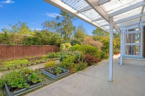 Photo of property in 6 Martin Close, Karitane, Waikouaiti, 9471