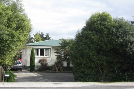 Photo of property in 133 Napier Road, Havelock North, 4130