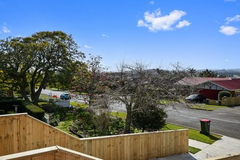 Photo of property in 161 Wellington Street, Pukekohe, 2120