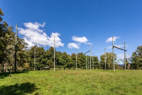 Photo of property in 49 Kaimarama Road, Kaimarama, Whitianga, 3591