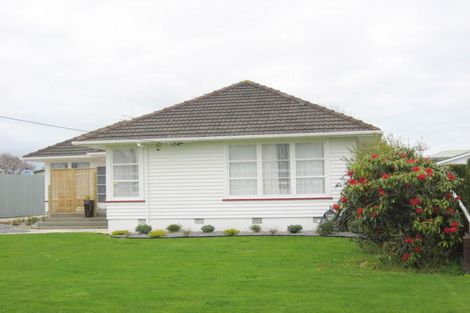 Photo of property in 11 Dudley Street, Levin, 5510