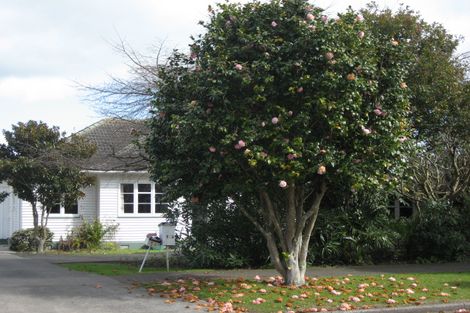 Photo of property in 16a Francis Street, Whakatane, 3120