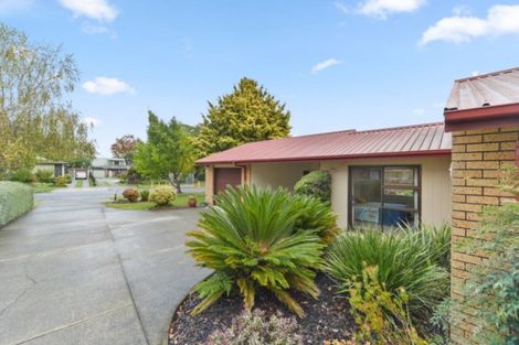 Photo of property in 25 Bailey Avenue, Claudelands, Hamilton, 3214