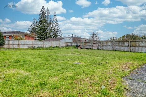 Photo of property in 50 Webster Avenue, Mount Roskill, Auckland, 1041