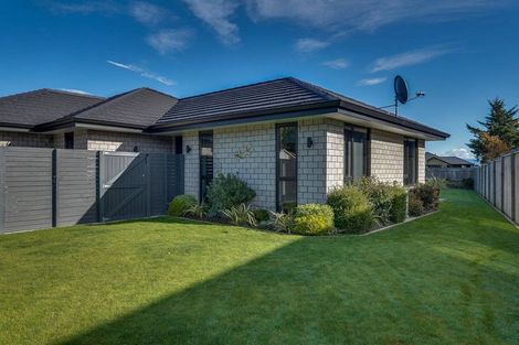 Photo of property in 46 Grigg Drive, Witherlea, Blenheim, 7201