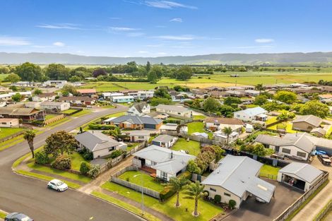 Photo of property in 16 Matipo Street, Matamata, 3400