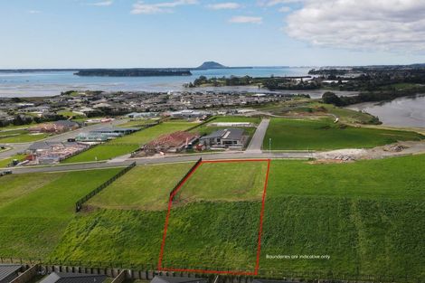 Photo of property in 10 Kuaka Rise, Omokoroa, 3114