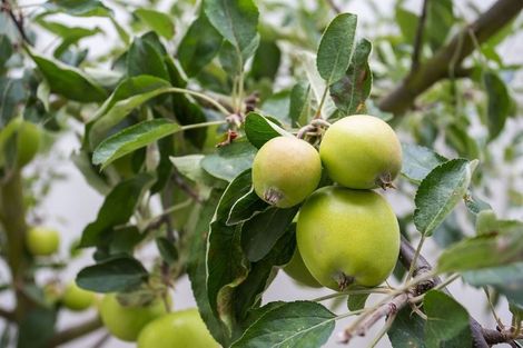 Photo of property in 3/71 Proctor Street, Papanui, Christchurch, 8053