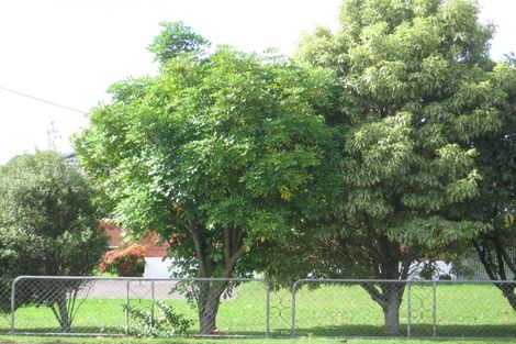 Photo of property in 129 Swanson Road, Henderson, Auckland, 0610