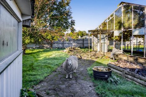 Photo of property in 40 Bear Street, Waverley, 4510