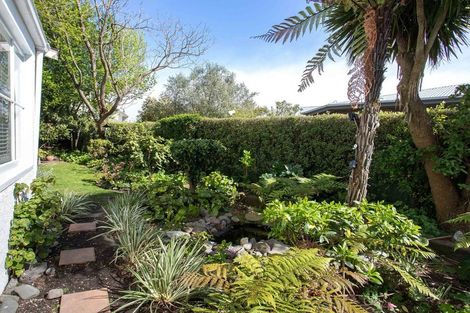 Photo of property in 171 Springfield Road, St Albans, Christchurch, 8014