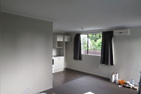 Photo of property in 101a Rimu Street, Maeroa, Hamilton, 3200