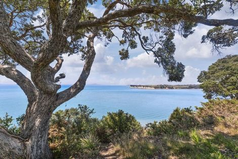 Photo of property in 21 Palm Cove, Arkles Bay, Whangaparaoa, 0932