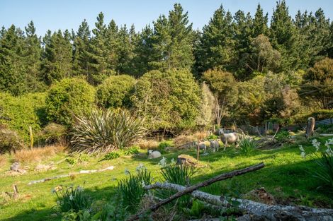 Photo of property in 5 Worcester Street, Hampden, 9410