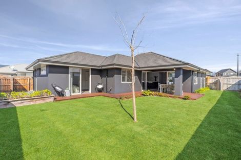 Photo of property in 44 Borck Avenue, Appleby, Richmond, 7020