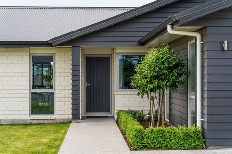 Photo of property in 36 Gimson Street, Solway, Masterton, 5810