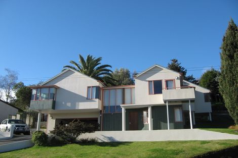 Photo of property in 41a Palmerston Road, Havelock North, 4130