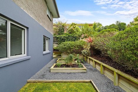 Photo of property in 43 Hereford Street, Kaikorai, Dunedin, 9010
