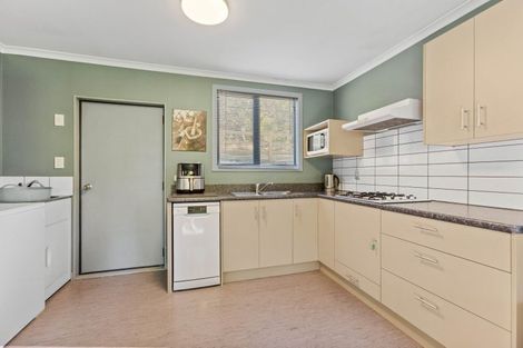 Photo of property in 41 Manuherikia Road, Alexandra, 9320