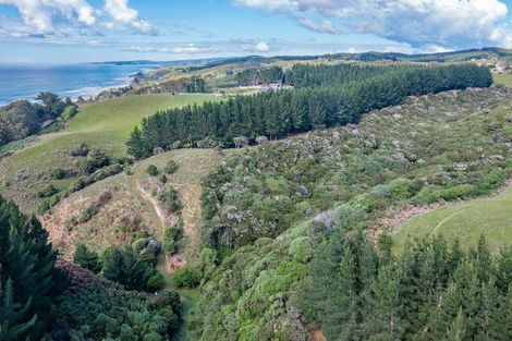 Photo of property in 47 Big Stone Road, Brighton, 9091