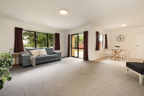 Photo of property in 129 Pyes Pa Road, Pyes Pa, Tauranga, 3112