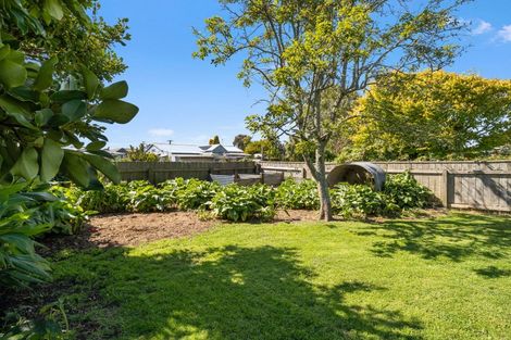 Photo of property in 128 Harrison Street, Whanganui, 4500