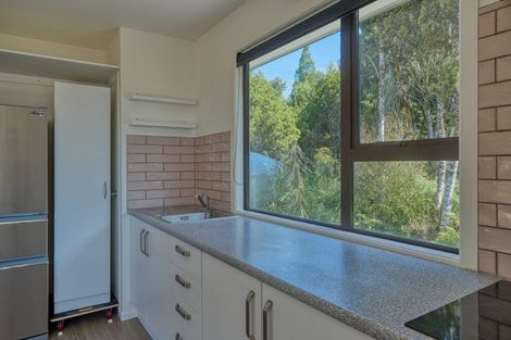 Photo of property in 142 One Mile Line Road, Arahura Valley, Hokitika, 7882