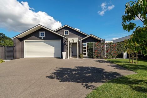 Photo of property in 89 Carmichael Road, Bethlehem, Tauranga, 3110