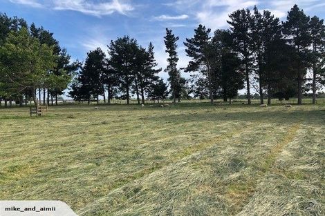 Photo of property in 603 Tenfoot Road, Taupiri, 3792