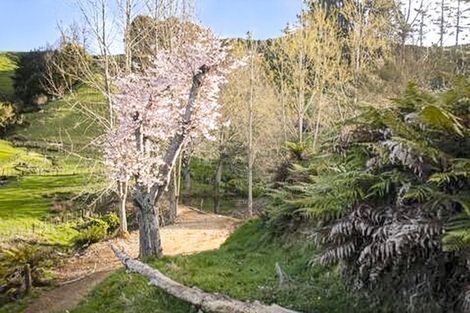 Photo of property in 822 Motukawa Road, Tarata, Inglewood, 4387