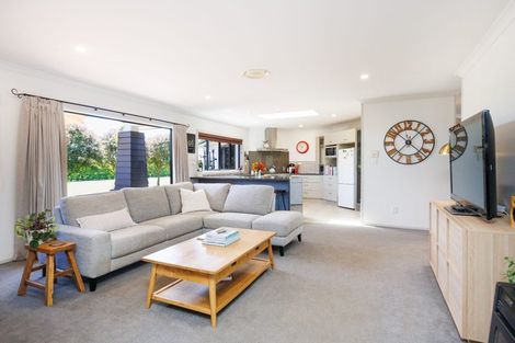 Photo of property in 93 Mount Taylor Drive, Feilding, 4775