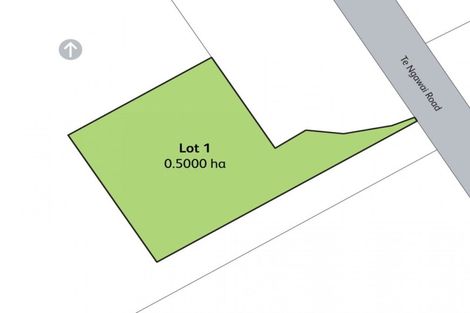 Photo of property in 120 Te Ngawai Road, Pleasant Point, 7982