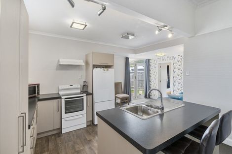 Photo of property in 19 Limbrick Street, Terrace End, Palmerston North, 4410