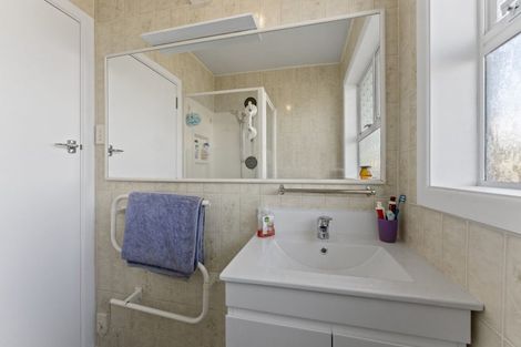 Photo of property in 12 Saint Annes Street, Levin, 5510