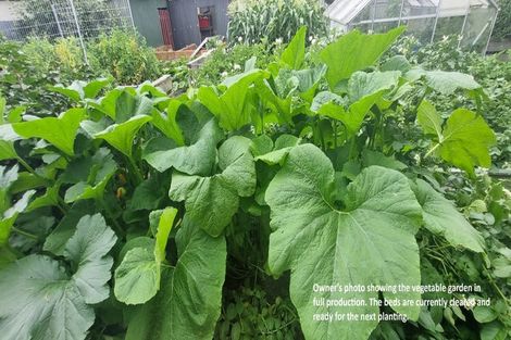 Photo of property in 27 Moore Avenue, Tawhero, Whanganui, 4501