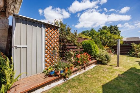 Photo of property in 462 Featherston Street, Palmerston North, 4414