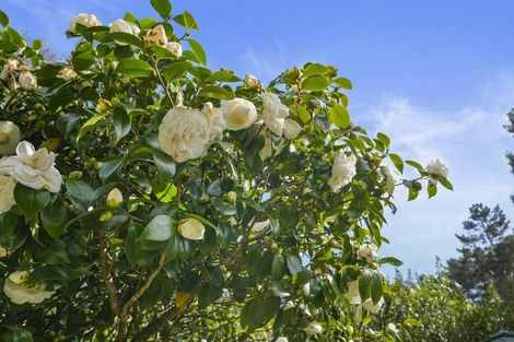 Photo of property in 17 Mcclintock Road, Massey, Auckland, 0614