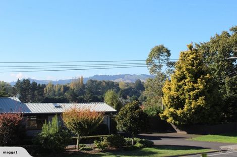 Photo of property in 30 Kingsley Street, Leamington, Cambridge, 3432