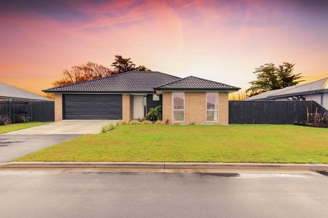 Photo of property in 50 Clausen Avenue, Leeston, 7632