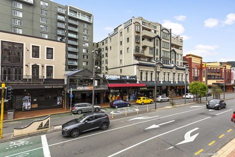 Photo of property in Courtenay Apartments, 311/120 Courtenay Place, Te Aro, Wellington, 6011