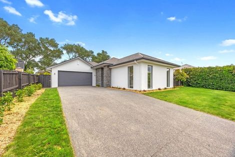 Photo of property in 25 Mokihi Gardens, Hillmorton, Christchurch, 8024