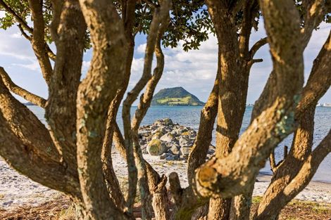 Photo of property in 81b Kulim Avenue, Otumoetai, Tauranga, 3110