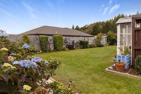 Photo of property in 5 Payne Place, Witherlea, Blenheim, 7201